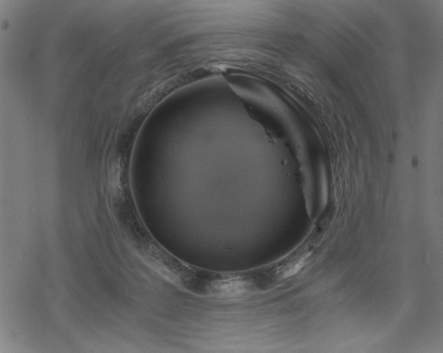 X0000068830219200605051244