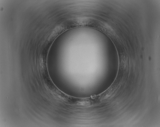 X0000068830220200605051244