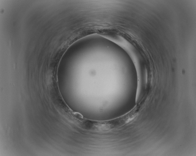 X0000068830221200605051244