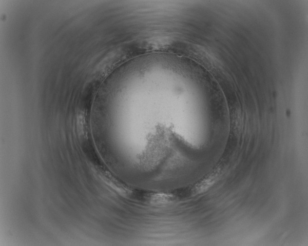 X0000068830222200605051244