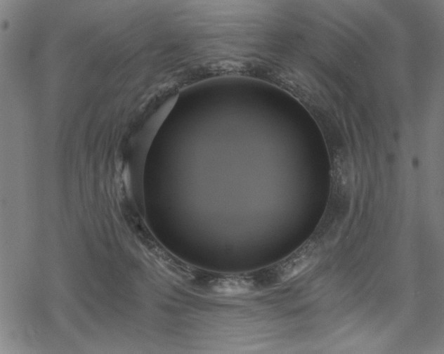 X0000068830223200605051244