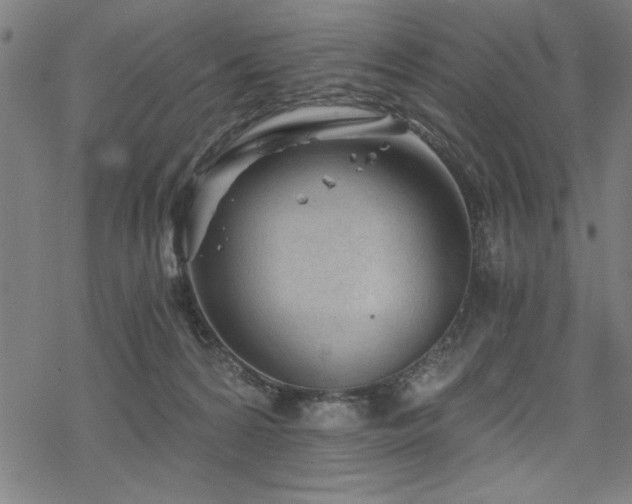 X0000068830224200605051244