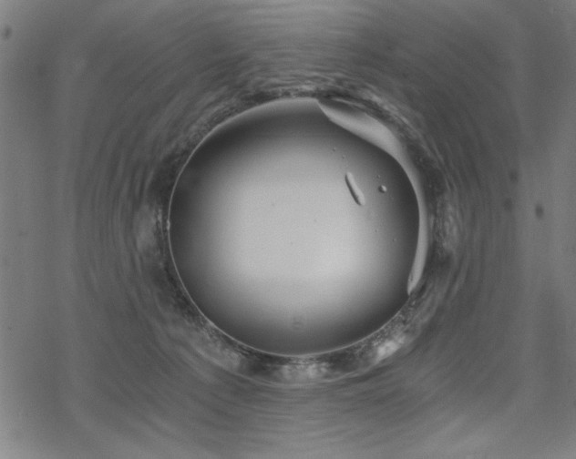 X0000068830225200605051244