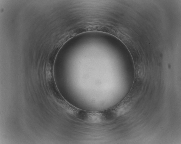 X0000068830226200605051244