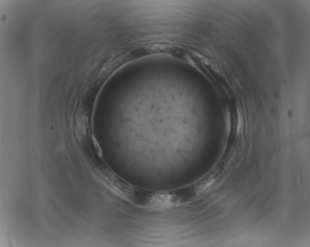 X0000068830227200605051244