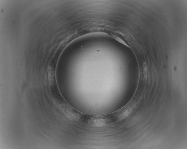 X0000068830228200605051244