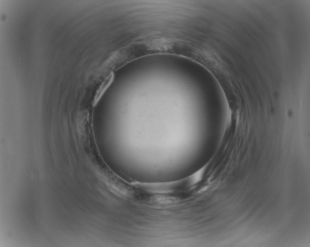 X0000068830229200605051244