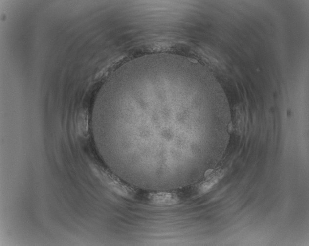 X0000068830230200605051244