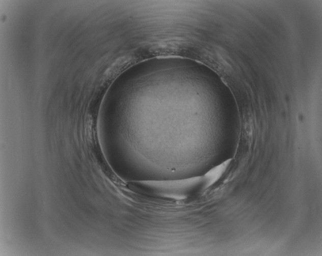 X0000068830231200605051244