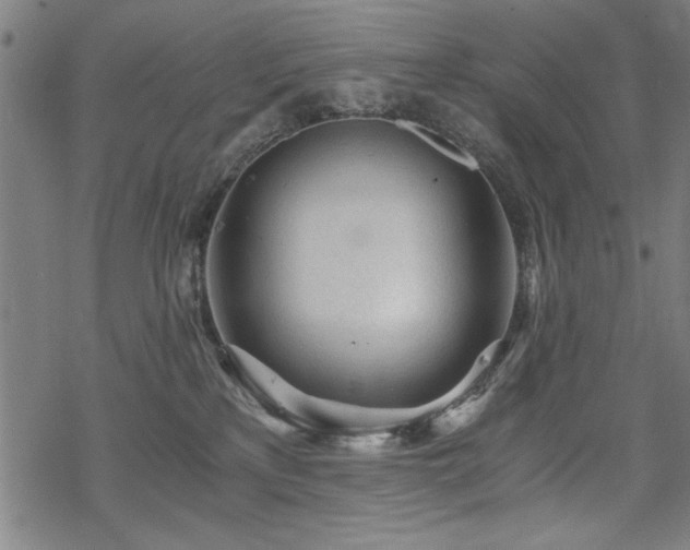 X0000068830233200605051244