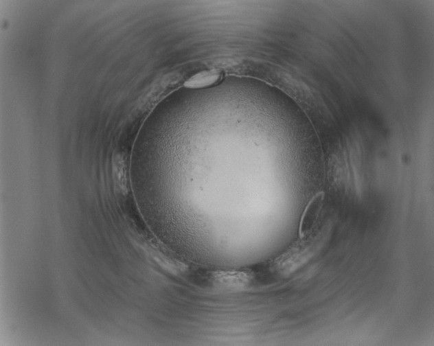 X0000068830234200605051244