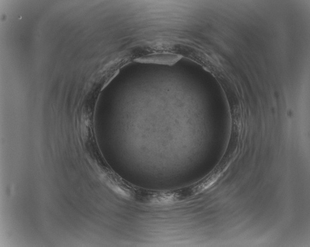 X0000068830235200605051244