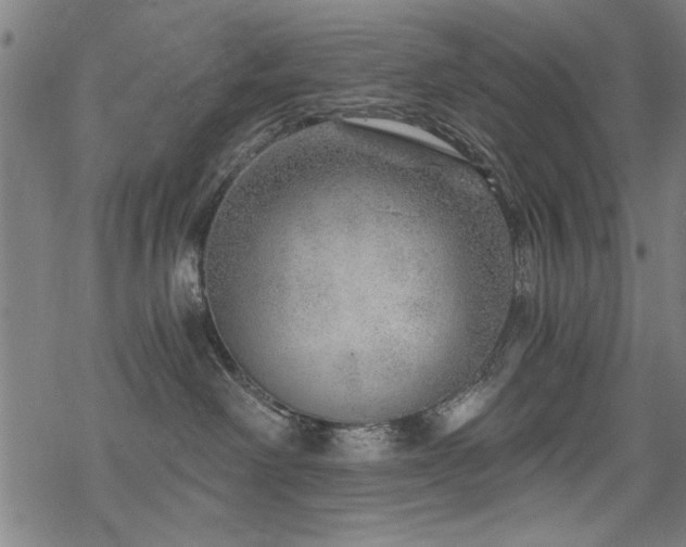 X0000068830238200605051244