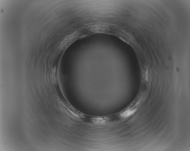 X0000068830239200605051244