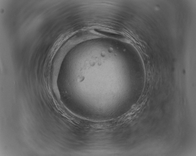 X0000068830241200605051243