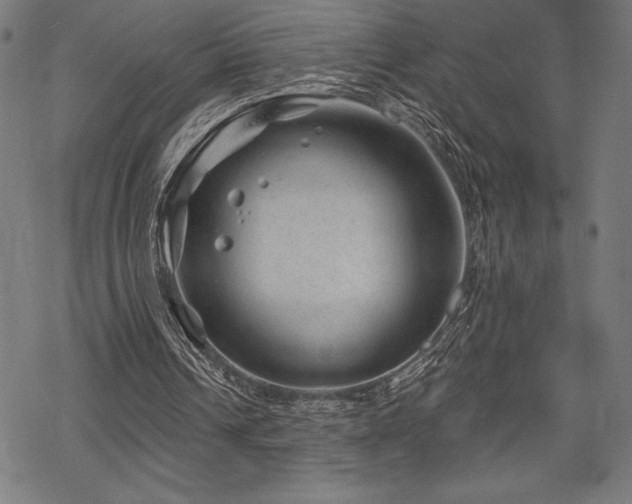 X0000068830242200605051243