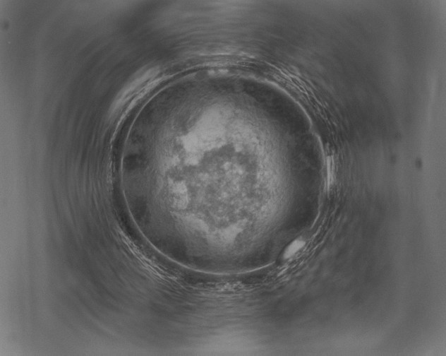 X0000068830243200605051243