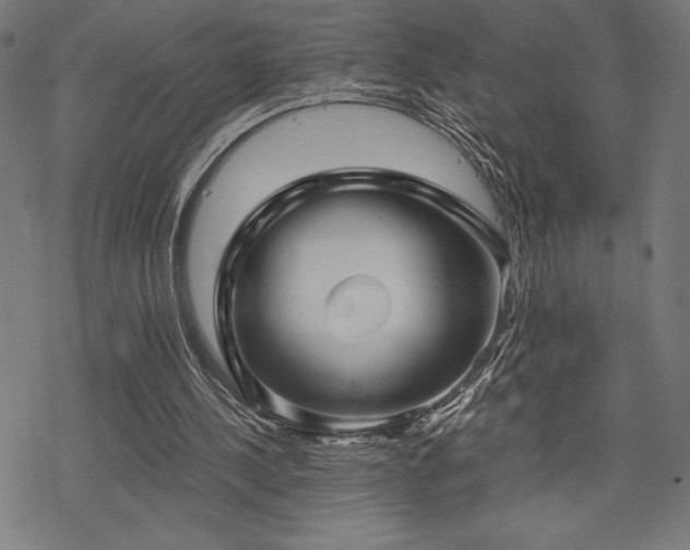 X0000068830244200605051243