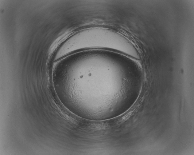 X0000068830245200605051243