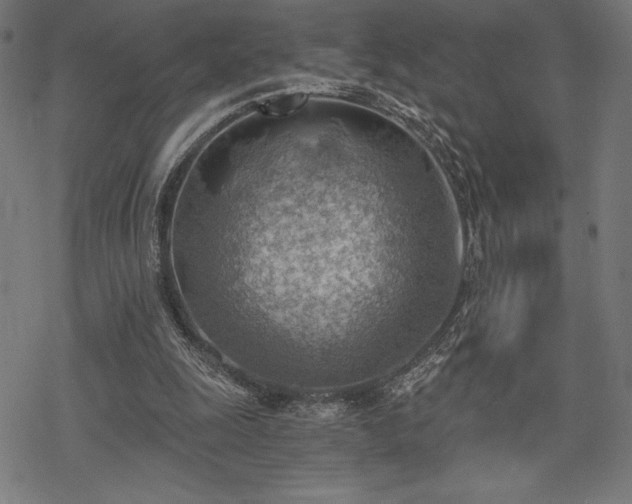 X0000068830247200605051243