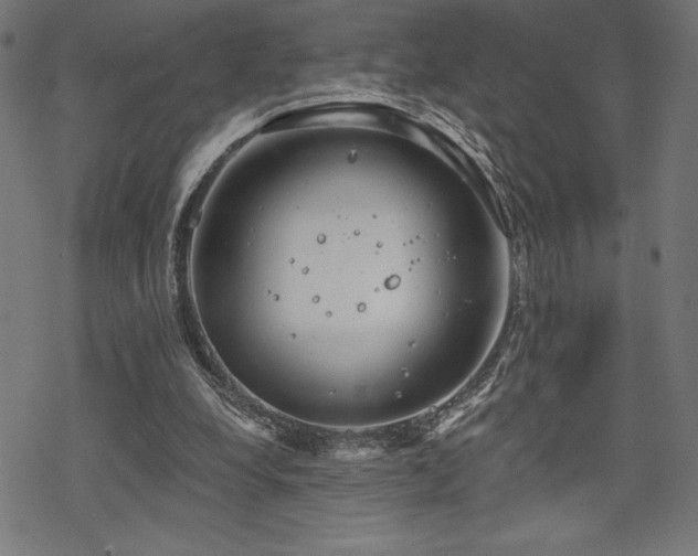 X0000068830248200605051243