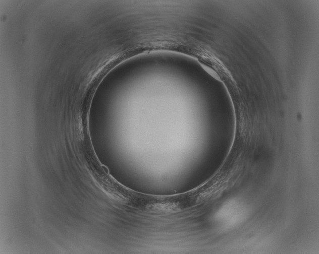 X0000068830251200605051243