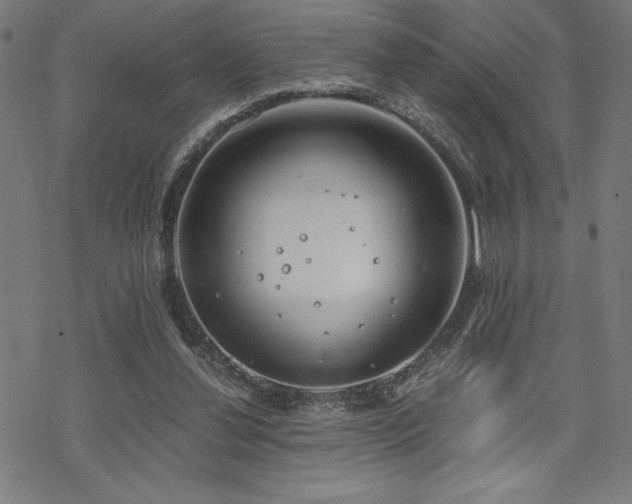 X0000068830252200605051243