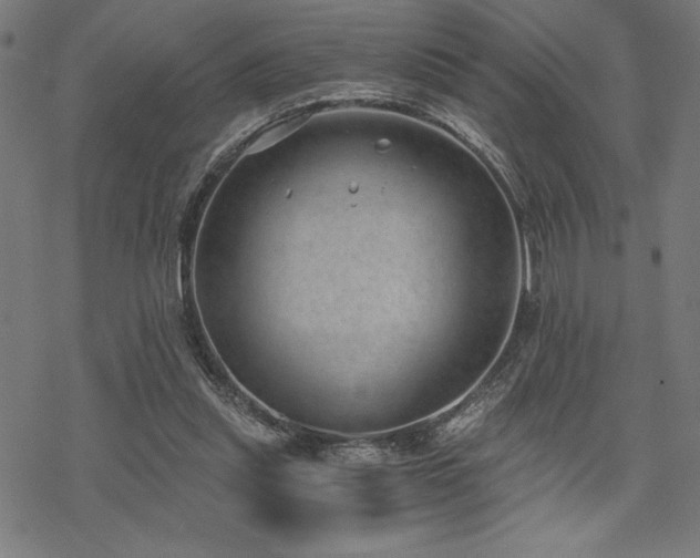 X0000068830253200605051243