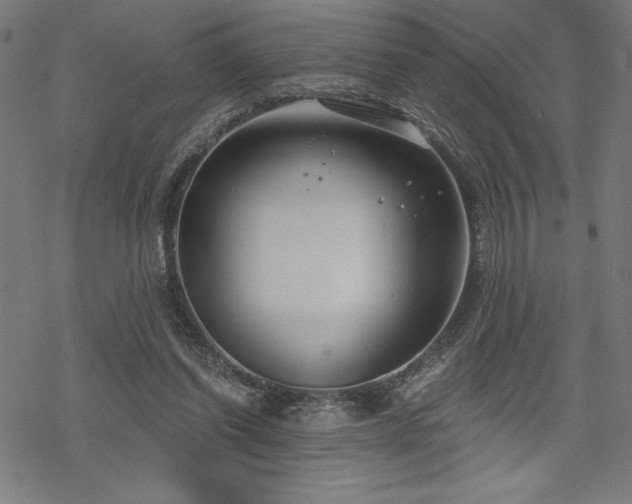 X0000068830254200605051243