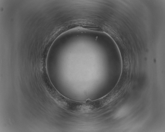 X0000068830255200605051244