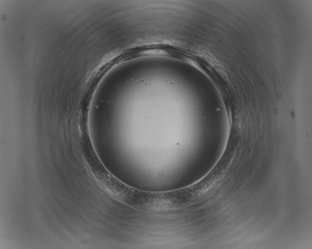 X0000068830256200605051244