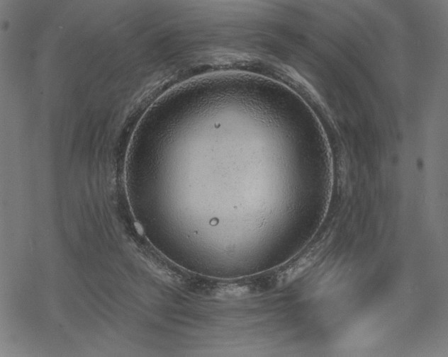 X0000068830257200605051244