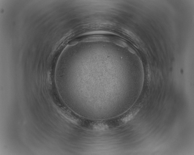 X0000068830258200605051244