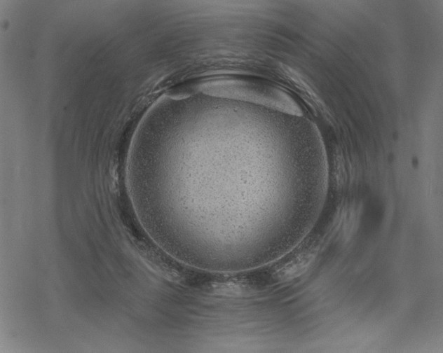 X0000068830259200605051244