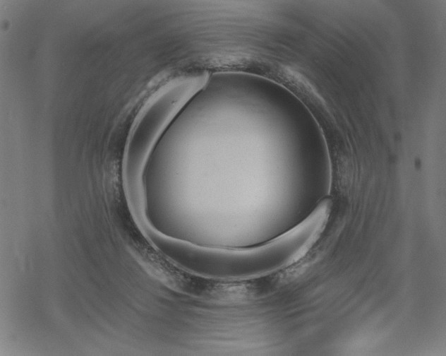 X0000068830260200605051244