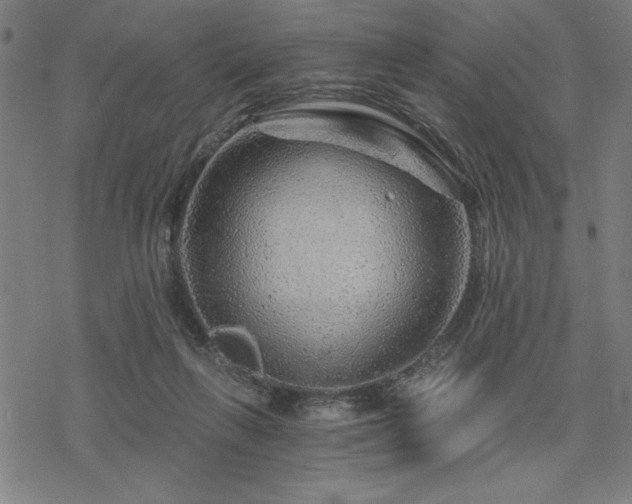 X0000068830263200605051244