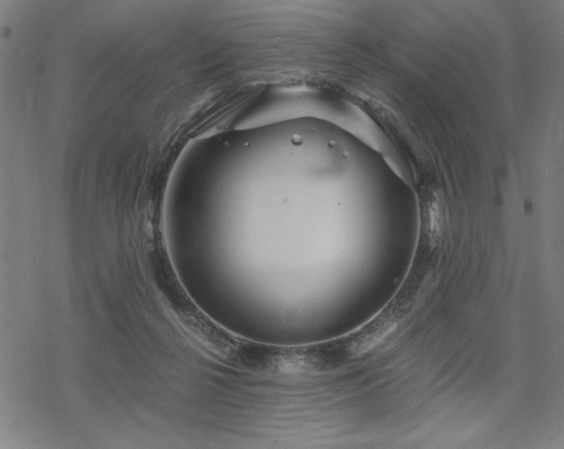 X0000068830264200605051244