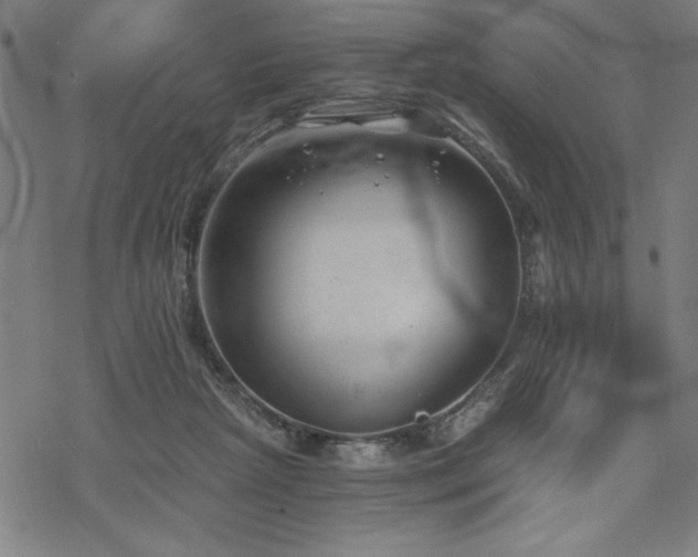 X0000068830265200605051244