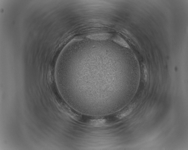 X0000068830266200605051244