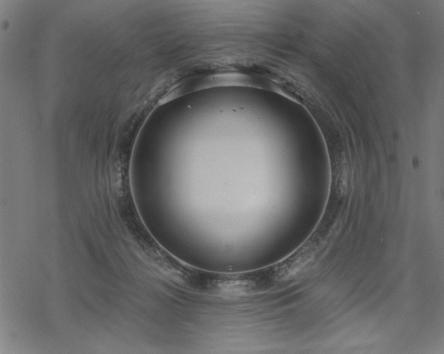 X0000068830268200605051244