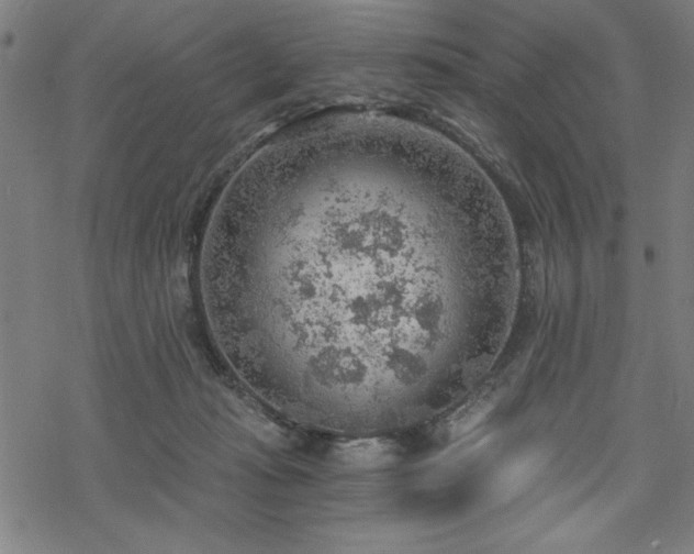 X0000068830269200605051244