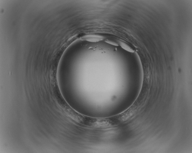 X0000068830270200605051244