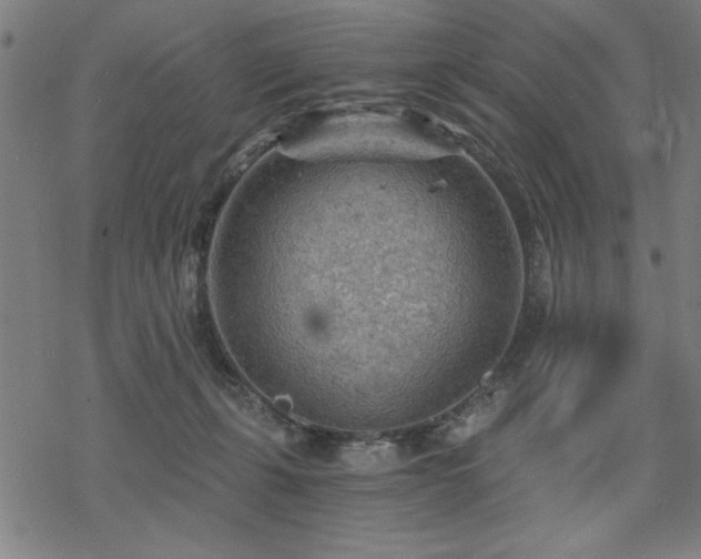 X0000068830271200605051244