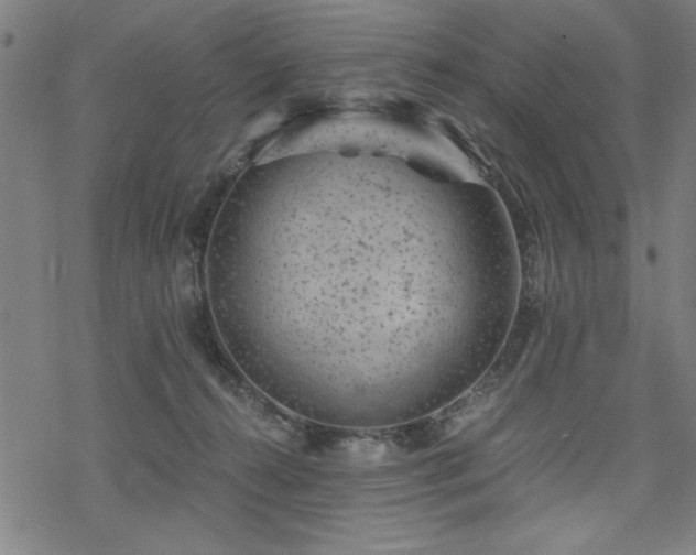 X0000068830272200605051244