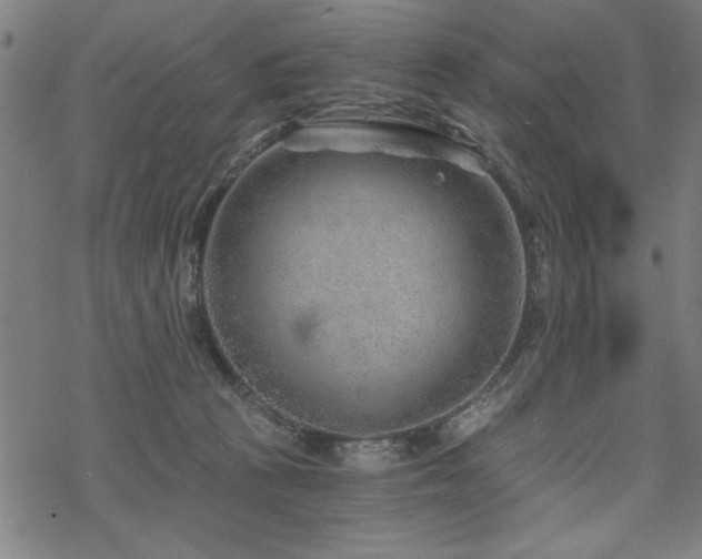 X0000068830273200605051244