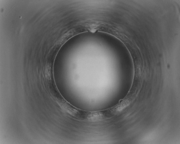 X0000068830274200605051244