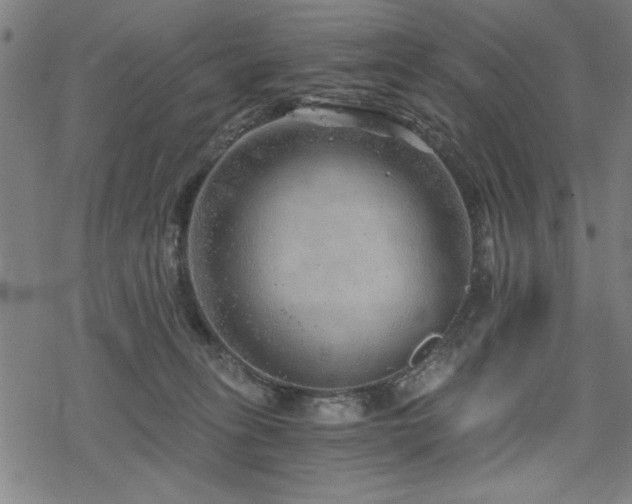 X0000068830275200605051244