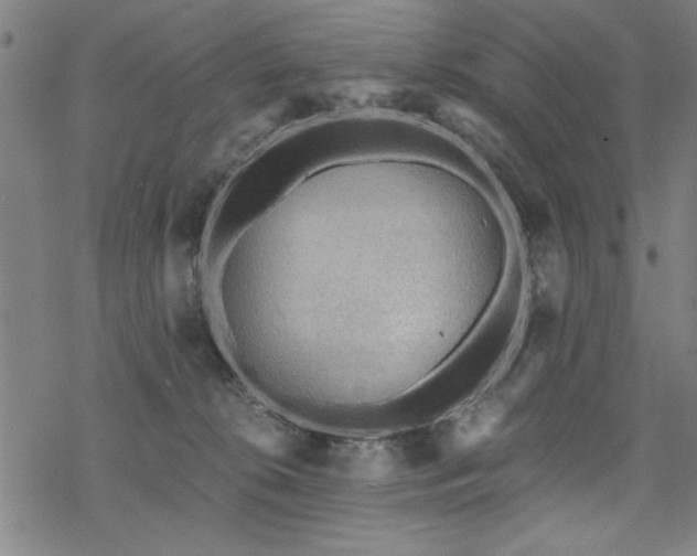 X0000068830276200605051244