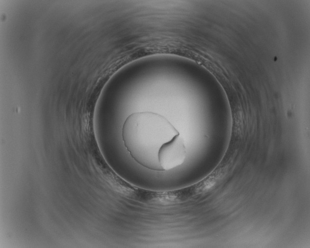 X0000068830278200605051244