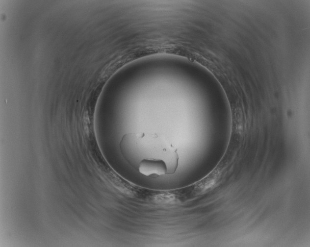 X0000068830279200605051244